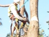 Eugene Tree Care