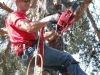 Tree Climbers Can do it.